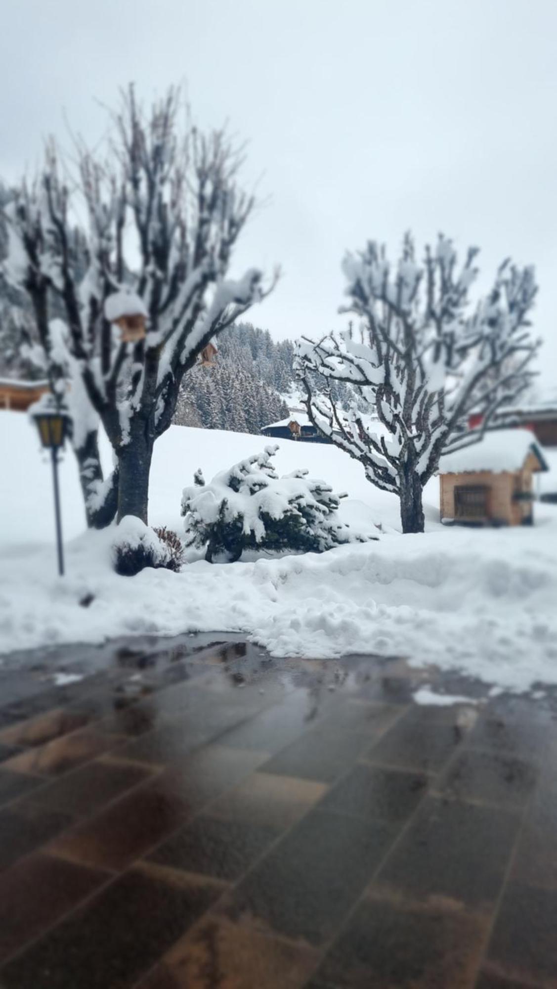 B&B Ciauceia Selva di Val Gardena Exteriör bild