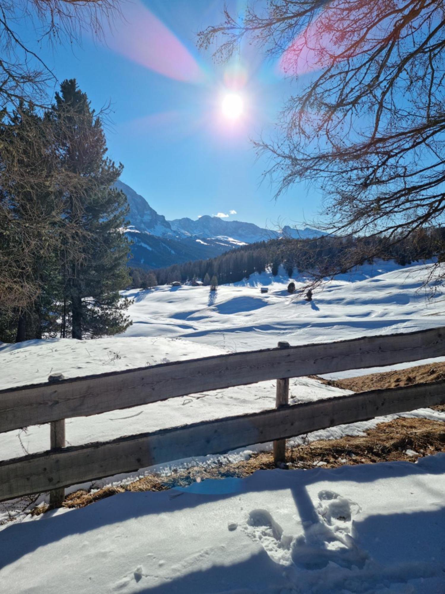 B&B Ciauceia Selva di Val Gardena Exteriör bild