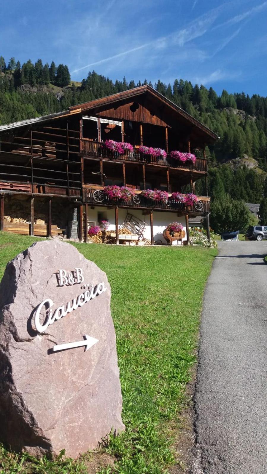 B&B Ciauceia Selva di Val Gardena Exteriör bild
